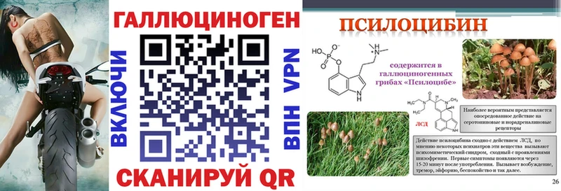 Галлюциногенные грибы мухоморы Гусев